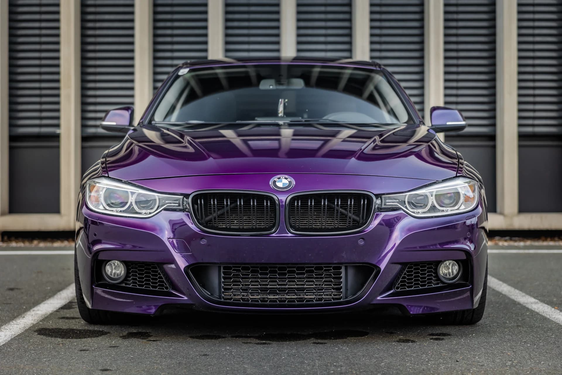 Vollfolierung – Midnight Purple – Bild 3